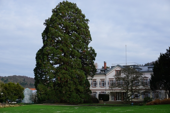 Hermannshof